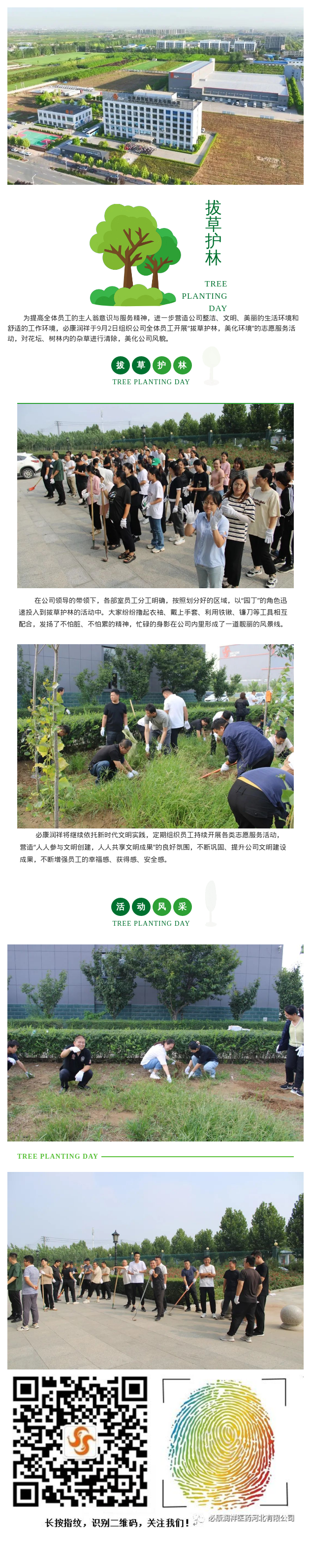 必康润祥“拔草护林”，我们在行动！